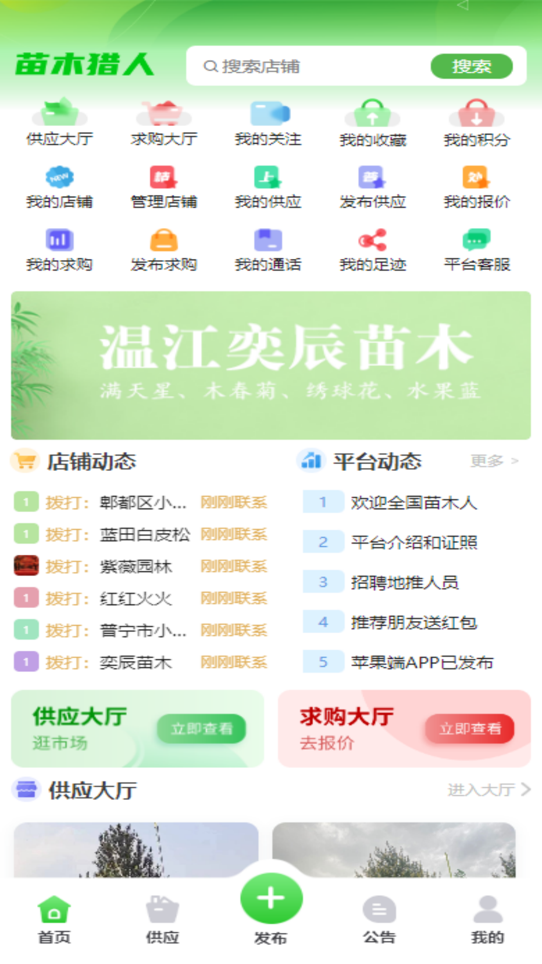 苗木猎人