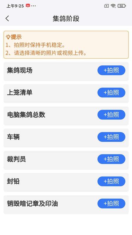 鸽派监赛版