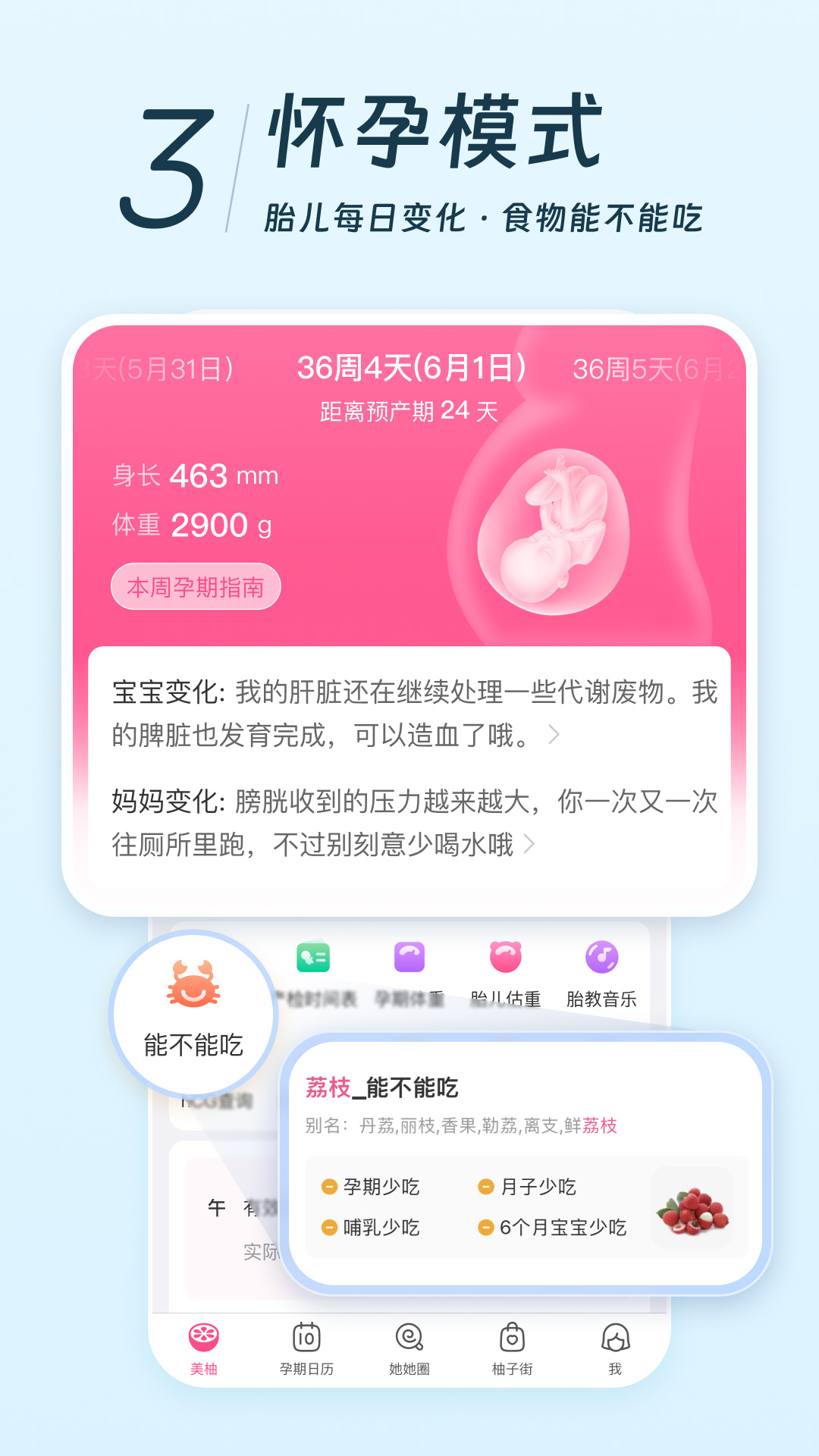美柚