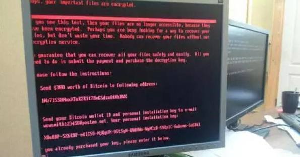 坏兔子新勒索病毒查杀工具截图