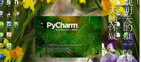 pycharm看有效期的操作教程