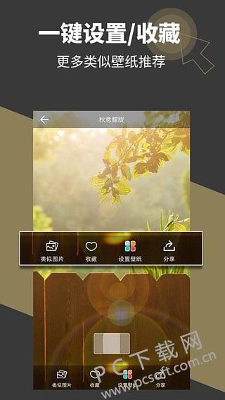 壁纸多多