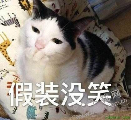 timg (1).jpg