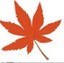 枫叶音频格式转换器