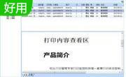 软众打印管理专家 RZPrint段首LOGO