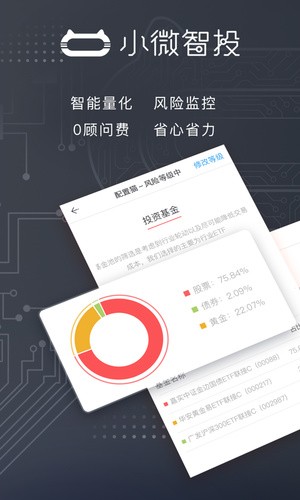 小微智投