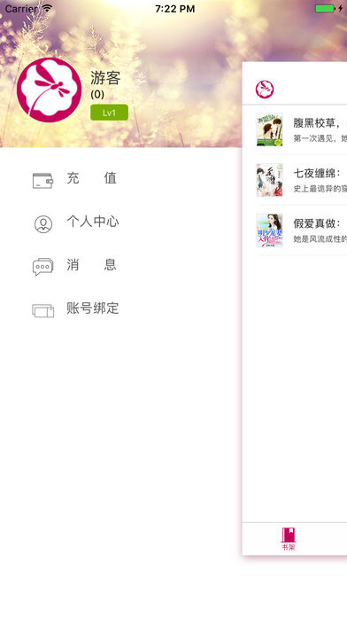 落尘文学