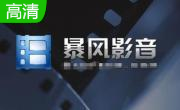 暴风影音2015官方免费版段首LOGO