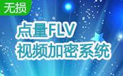 点量FLV视频加密系统段首LOGO