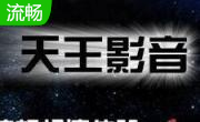 天王播放器段首LOGO