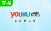 优酷视频播放器段首LOGO