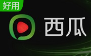 西瓜影院段首LOGO