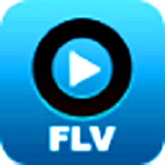 FLV播放器
