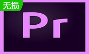 Adobe Premiere pro Cs4段首LOGO