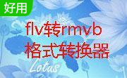 flv转rmvb格式转换器段首LOGO