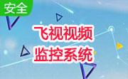 飞视视频监控系统段首LOGO