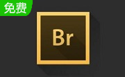 Adobe Bridge CC 2017段首LOGO