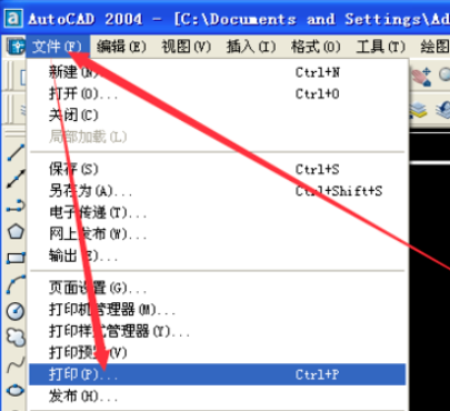 autocad 2004