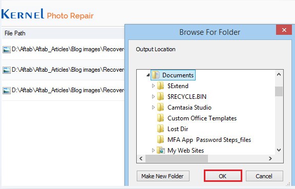 Kernel Photo Repair截图