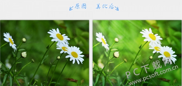 2345看图王
