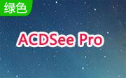 ACDSee Pro段首LOGO