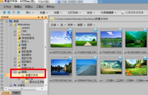 怎样用Acdsee批量修改图片大小?