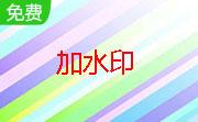 天迹图片批量加水印工具段首LOGO