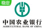 农行网银客户端段首LOGO