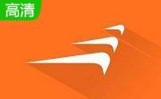 风行网络电影播放器2013段首LOGO