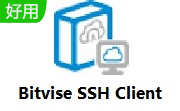 Bitvise SSH Client段首LOGO