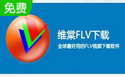 维棠FLV视频段首LOGO