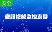 微服视频监控直播系统段首LOGO