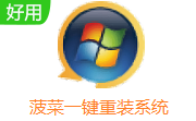 菠菜一键重装系统段首LOGO