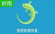 壁虎数据恢复段首LOGO