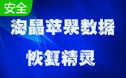 淘晶苹果数据恢复精灵段首LOGO