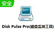Disk Pulse Pro(磁盘监测工具)段首LOGO