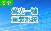 紫光一键重装系统段首LOGO