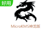 MicroKMS神龙版段首LOGO