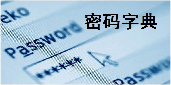 密码字典截图