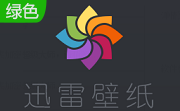 迅雷壁纸段首LOGO