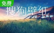 搜狗壁纸2015段首LOGO