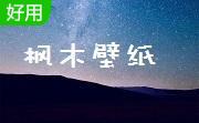 枫木壁纸段首LOGO