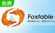 Foxtable段首LOGO
