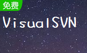 VisualSVN段首LOGO