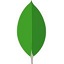 MongoDB Compass