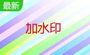 批量PDF添加水印软件工具段首LOGO