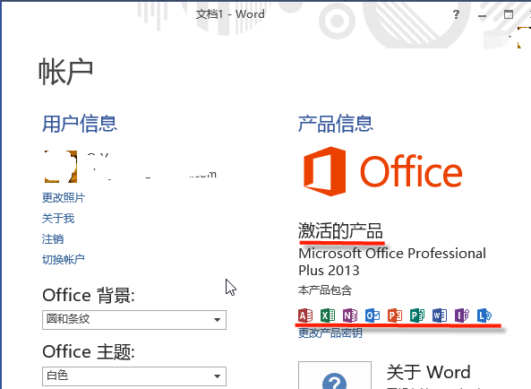 Microsoft Office 2013 (64位)