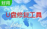 MP2202主控芯片U盘修复工具段首LOGO