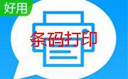 一维数值条码打印段首LOGO