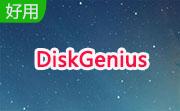 DiskGenius段首LOGO